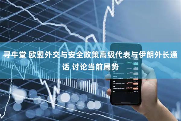 寻牛堂 欧盟外交与安全政策高级代表与伊朗外长通话 讨论当前局势