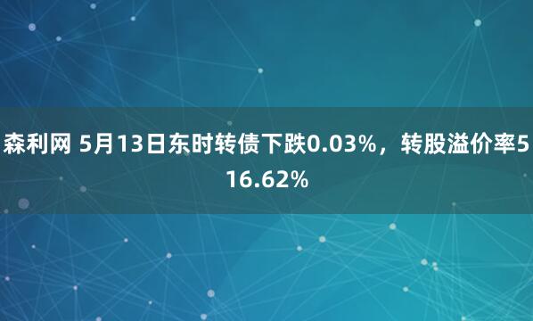 森利网 5月13日东时转债下跌0.03%，转股溢价率516.62%