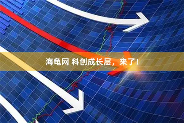 海龟网 科创成长层，来了！